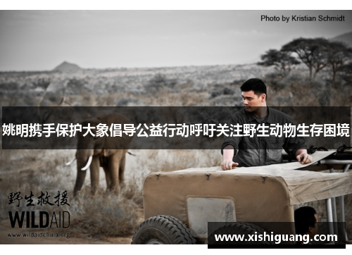 姚明携手保护大象倡导公益行动呼吁关注野生动物生存困境