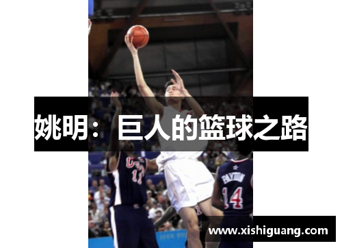 姚明：巨人的篮球之路