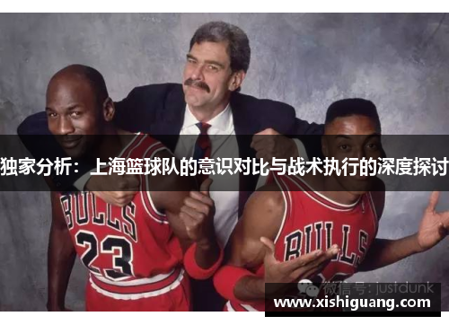 独家分析：上海篮球队的意识对比与战术执行的深度探讨