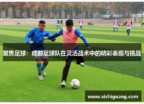 聚焦足球：成都足球队在灵活战术中的精彩表现与挑战