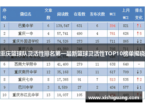 重庆篮球队灵活性排名第一最新篮球灵活性TOP10榜单揭晓