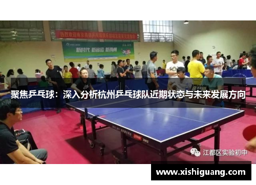 聚焦乒乓球：深入分析杭州乒乓球队近期状态与未来发展方向
