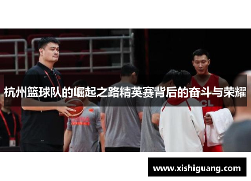 杭州篮球队的崛起之路精英赛背后的奋斗与荣耀