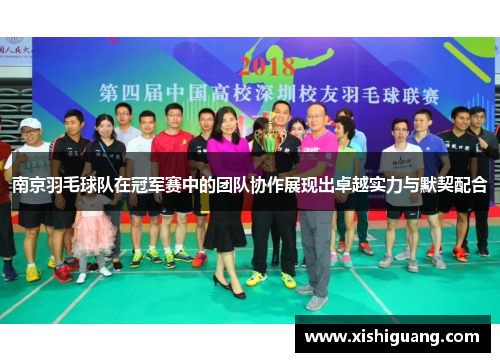 南京羽毛球队在冠军赛中的团队协作展现出卓越实力与默契配合