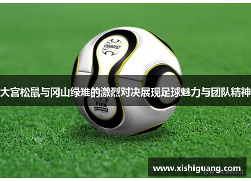 大宫松鼠与冈山绿雉的激烈对决展现足球魅力与团队精神